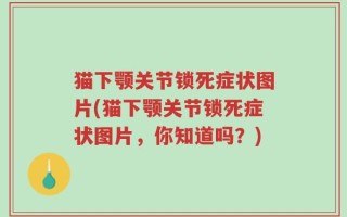 猫下颚关节锁死症状图片(猫下颚关节锁死症状图片，你知道吗？)