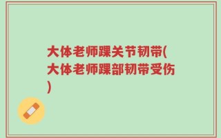 大体老师踝关节韧带(大体老师踝部韧带受伤)