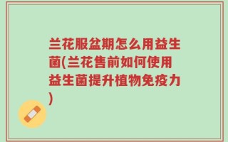 兰花服盆期怎么用益生菌(兰花售前如何使用益生菌提升植物免疫力)