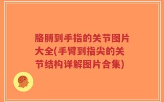 胳膊到手指的关节图片大全(手臂到指尖的关节结构详解图片合集)