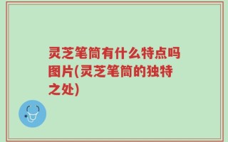 灵芝笔筒有什么特点吗图片(灵芝笔筒的独特之处)