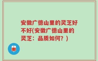 安徽广德山里的灵芝好不好(安徽广德山里的灵芝：品质如何？)
