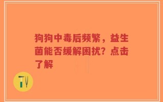 狗狗中毒后频繁，益生菌能否缓解困扰？点击了解