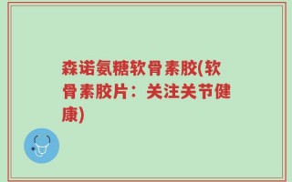 森诺氨糖软骨素胶(软骨素胶片：关注关节健康)