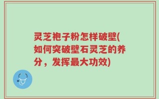 灵芝袍子粉怎样破壁(如何突破壁石灵芝的养分，发挥最大功效)