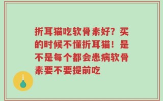折耳猫吃软骨素好？买的时候不懂折耳猫！是不是每个都会患病软骨素要不要提前吃