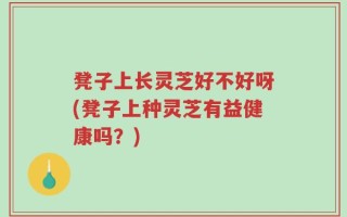 凳子上长灵芝好不好呀(凳子上种灵芝有益健康吗？)