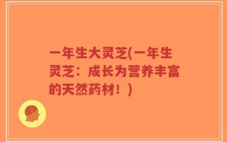 一年生大灵芝(一年生灵芝：成长为营养丰富的天然药材！)