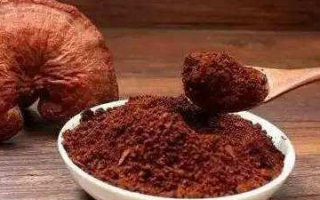 灵芝孢子粉每天食用量多少最合适？