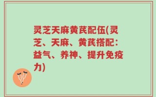 灵芝天麻黄芪配伍(灵芝、天麻、黄芪搭配：益气、养神、提升免疫力)