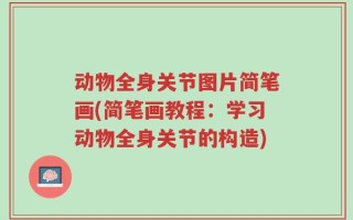 动物全身关节图片简笔画(简笔画教程：学习动物全身关节的构造)
