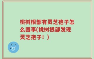 桃树根部有灵芝孢子怎么回事(桃树根部发现灵芝孢子！)