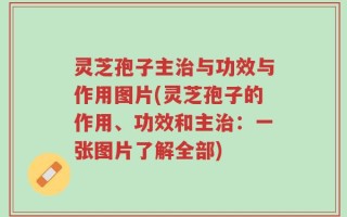 灵芝孢子主治与功效与作用图片(灵芝孢子的作用、功效和主治：一张图片了解全部)