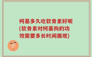 柯基多久吃软骨素好呢(软骨素对柯基狗的功效需要多长时间展现)