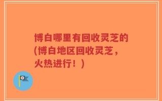 博白哪里有回收灵芝的(博白地区回收灵芝，火热进行！)