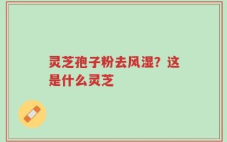 灵芝孢子粉去风湿？这是什么灵芝