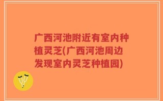 广西河池附近有室内种植灵芝(广西河池周边发现室内灵芝种植园)