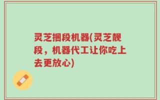 灵芝捆段机器(灵芝靓段，机器代工让你吃上去更放心)