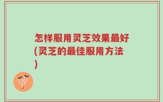 怎样服用灵芝效果最好(灵芝的最佳服用方法)