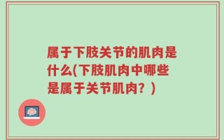 属于下肢关节的肌肉是什么(下肢肌肉中哪些是属于关节肌肉？)