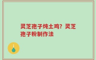 灵芝孢子炖土鸡？灵芝孢子粉制作法