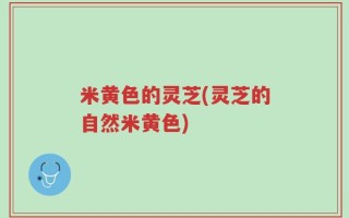 米黄色的灵芝(灵芝的自然米黄色)
