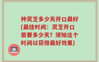 种灵芝多少天开口最好(最佳时间：灵芝开口需要多少天？须知这个时间以获得最好效果)