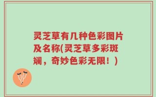 灵芝草有几种色彩图片及名称(灵芝草多彩斑斓，奇妙色彩无限！)