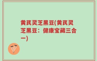 黄芪灵芝黑豆(黄芪灵芝黑豆：健康宝藏三合一)