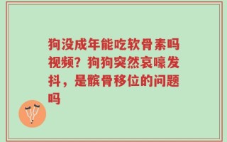 狗没成年能吃软骨素吗视频？狗狗突然哀嚎发抖，是髌骨移位的问题吗