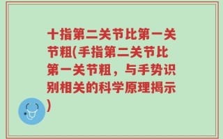 十指第二关节比第一关节粗(手指第二关节比第一关节粗，与手势识别相关的科学原理揭示)