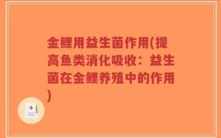 金鲤用益生菌作用(提高鱼类消化吸收：益生菌在金鲤养殖中的作用)