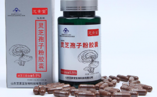 破壁灵芝孢子粉是什么意思？有什么作用？