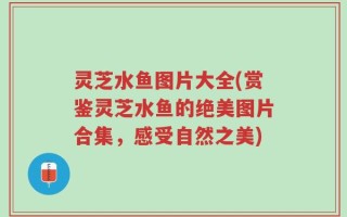 灵芝水鱼图片大全(赏鉴灵芝水鱼的绝美图片合集，感受自然之美)