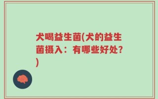 犬喝益生菌(犬的益生菌摄入：有哪些好处？)