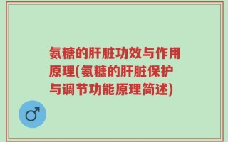 氨糖的肝脏功效与作用原理(氨糖的肝脏保护与调节功能原理简述)