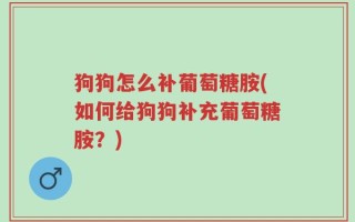 狗狗怎么补葡萄糖胺(如何给狗狗补充葡萄糖胺？)