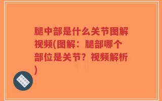 腿中部是什么关节图解视频(图解：腿部哪个部位是关节？视频解析)