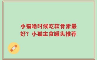 小猫啥时候吃软骨素最好？小猫主食罐头推荐