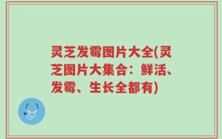 灵芝发霉图片大全(灵芝图片大集合：鲜活、发霉、生长全都有)