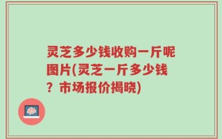 灵芝多少钱收购一斤呢图片(灵芝一斤多少钱？市场报价揭晓)