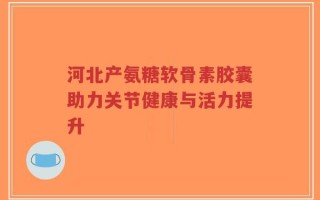 河北产氨糖软骨素胶囊助力关节健康与活力提升