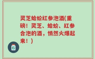 灵芝蛤蚧红参泡酒(重磅！灵芝、蛤蚧、红参合泡的酒，悄然火爆起来！)