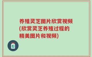 养殖灵芝图片欣赏视频(欣赏灵芝养殖过程的精美图片和视频)