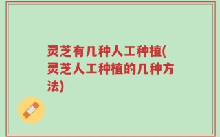 灵芝有几种人工种植(灵芝人工种植的几种方法)