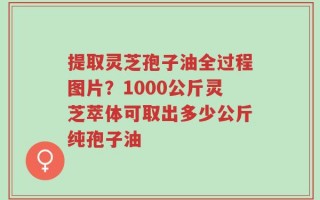 提取灵芝孢子油全过程图片？1000公斤灵芝萃体可取出多少公斤纯孢子油
