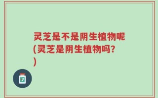 灵芝是不是阴生植物呢(灵芝是阴生植物吗？)