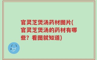 官灵芝煲汤药材图片(官灵芝煲汤的药材有哪些？看图就知道)