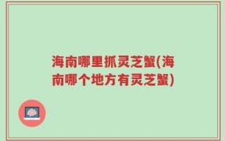 海南哪里抓灵芝蟹(海南哪个地方有灵芝蟹)