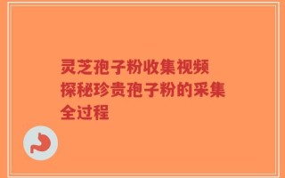 灵芝孢子粉收集视频 探秘珍贵孢子粉的采集全过程